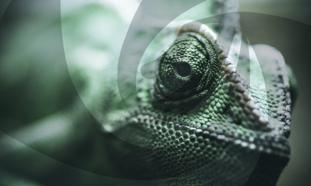 openSUSE elimina el escritorio Deepin de sus distribuciones por problemas de seguridad y calidad
